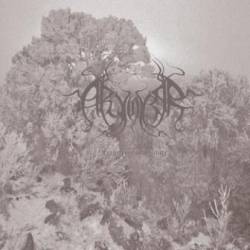 Arvorar : Fragments of Solitude